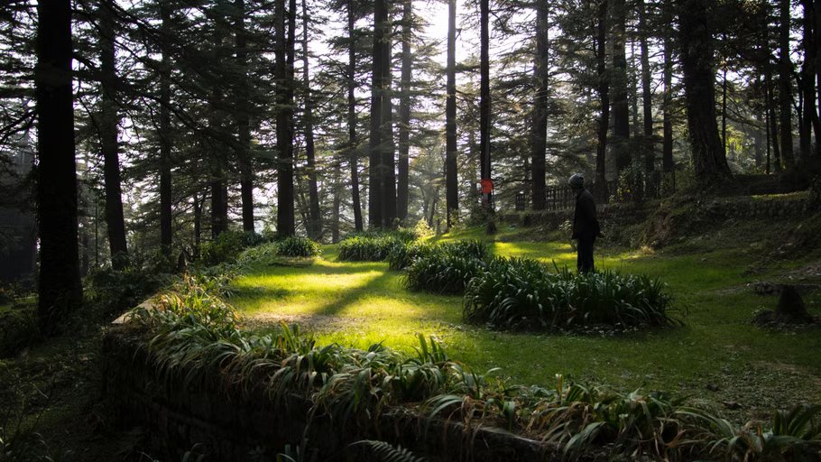 Dharamshala Dalhousie